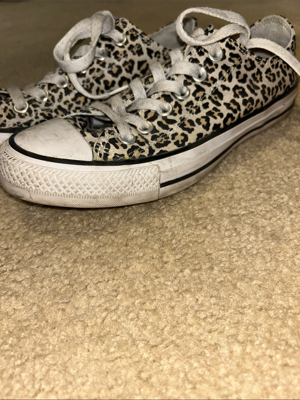 Leopard-Print Converse - Picture 2 of 7